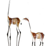 HO0008-0 und HO0008-1 Giraffe Skeleton modern Jakarandaholz 30 cm / 50 cm Kenia